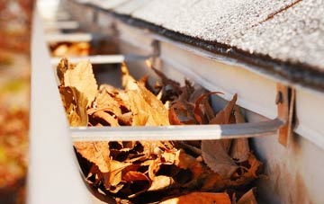 Perry Common gutter cleaning companies
