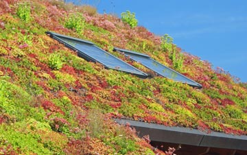 Perry Common living roof systems