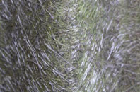 Perry Common fibreglass roof work