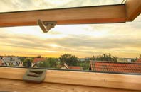 rated Perry Common roof window companies
